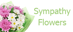 Sympathy Flowers Collection